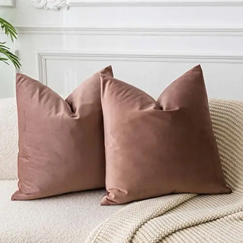 JUSPURBET Samt-Kissenbezüge 65x65 cm 2er-Set für Wohnzimmer und Schlafzimmer - Weiche Kissenhüllen mit Reißverschluss