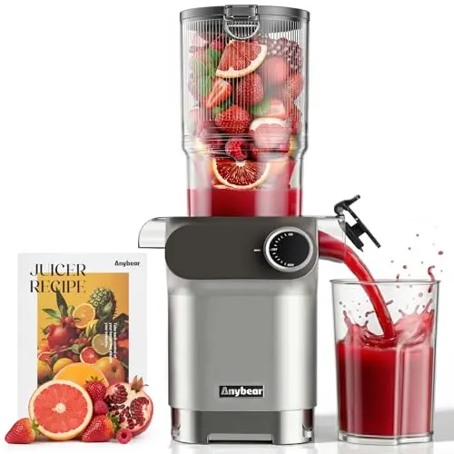 Anybear Slow Juicer (Silber & Orange)