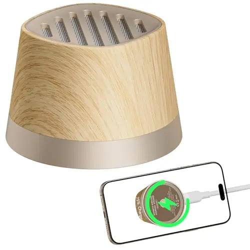 COLSUR Mini Bluetooth Lautsprecher mit Handyhalterung und Wireless Charger für iPhone 16/15/14/13/12, ideales Geschenk für Männer