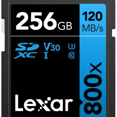 Lexar 256GB SD Karte High-Performance 800x - Ideal für Kameras und Camcorder