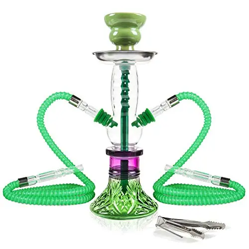 REANICE 11'' Shisha Hookah Set mit 2 Schläuchen - Glas Chicha Kit (Grün)