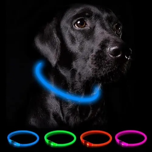 Nepfaivy Leuchthalsband für Hunde, USB-aufladbar, wasserdicht, mit 3 Lichtmodi, verstellbar für mittelgroße und große Hunde