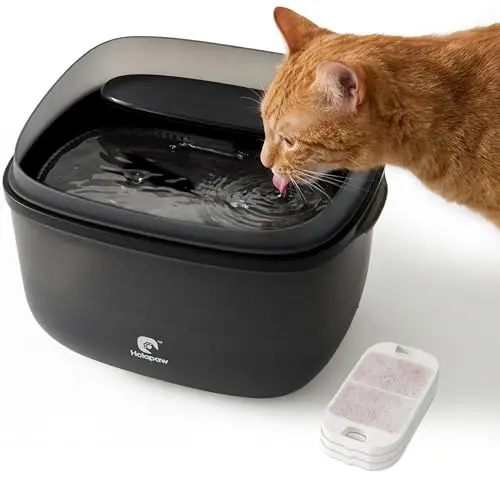 HOLAPAW Trinkbrunnen für Katzen, 3,78L, leise, mit Filter, Anti-Spill, einfacher Reinigung, Schwarz