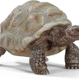 SCHLEICH WILD Life Riesenschildkröte | Tierfigur für Kinder ab 3 Jahren | Zoo Spielzeug & Geschenkidee | 8 x 4 x 4 cm