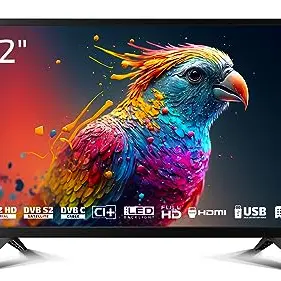 DYON Enter 22 Pro X2 55 cm (22 Zoll) Full-HD Fernseher mit Triple Tuner und USB-Media Player, Schwarz