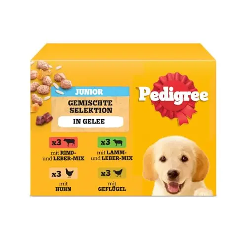 PEDIGREE DOGCARE Hundefutter für Junghunde in Gelee, 4 x 100g