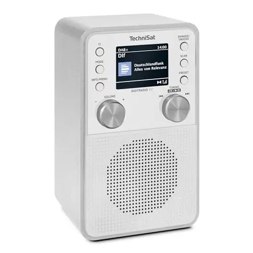 TechniSat DIGITRADIO 317 - DAB+ und UKW Radio mit Bluetooth, Radiowecker und 2,4 Zoll Farbdisplay