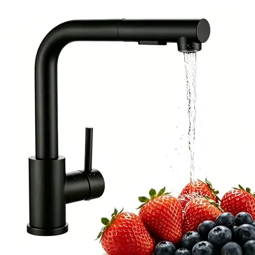 Baollansa Wasserhahn Küche, ausziehbar mit Brause, 360° schwenkbar, Edelstahl, schwarz