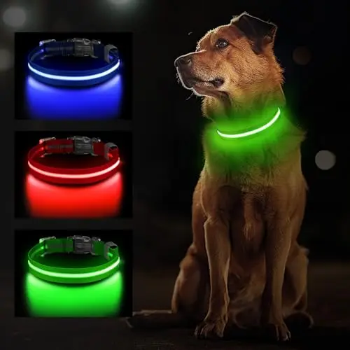 Jewyow LED Hundehalsband, Wasserfest, Wiederaufladbar, Verstellbar, 3 Modi, Für Kleine bis Große Hunde, Grün