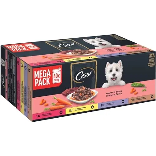 Cesar Selektion in Sauce Hunde Nassfutter, 4 Sorten, 40x100g