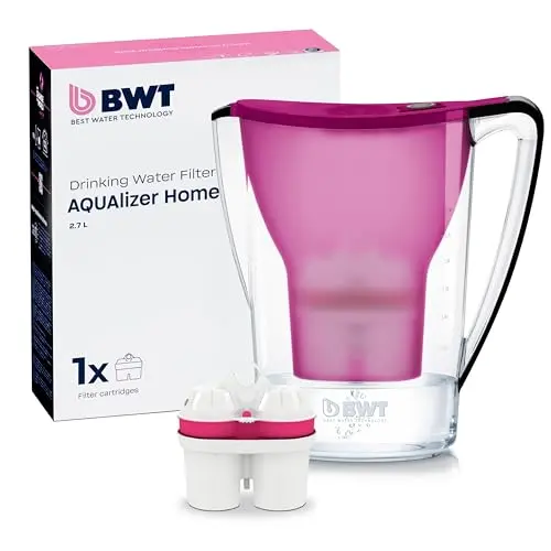 BWT Wasserfilter AQUAlizer Home Aubergine mit Magnesium-Filterkartusche