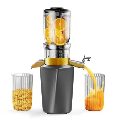 Fyenkfar Slow Juicer für frisches Obst und Gemüse - Testsieger für gesunde Ernährung und Genuss (silbergrau)