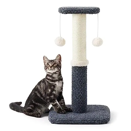 Lesure Kratzstamm für Katzen – 57 cm Kratzsäule mit Plattform und Sisal, dunkelgrau