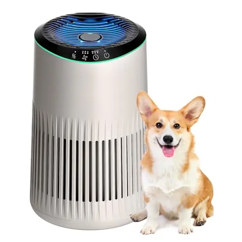 MERONTE Luftreiniger für Schlafzimmer und Büro - Allergikerfreundlicher HEPA Filter, 3 Modi, 1 Pack