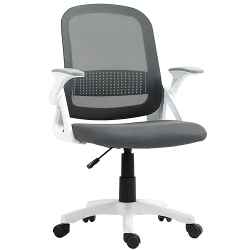 HOMCOM Ergonomischer Bürostuhl mit Lendenwirbelstütze, höhenverstellbar, Wippfunktion, Netzbespannung, grau