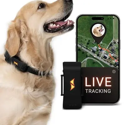 PAJ GPS Tracker für Hunde - 4G - Live-Ortung & Weglaufalarm - Bis zu 10 Tage Akkulaufzeit - Schwarz