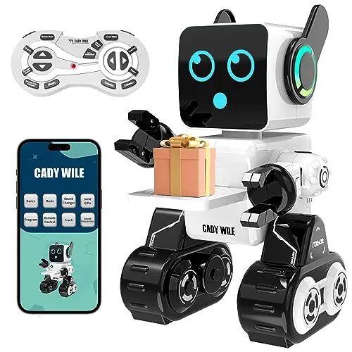 Anysun RC-Roboter für Kinder, programmierbares Spielzeug mit APP und Fernsteuerung, tanzt, singt und spricht, ideales Geschenk