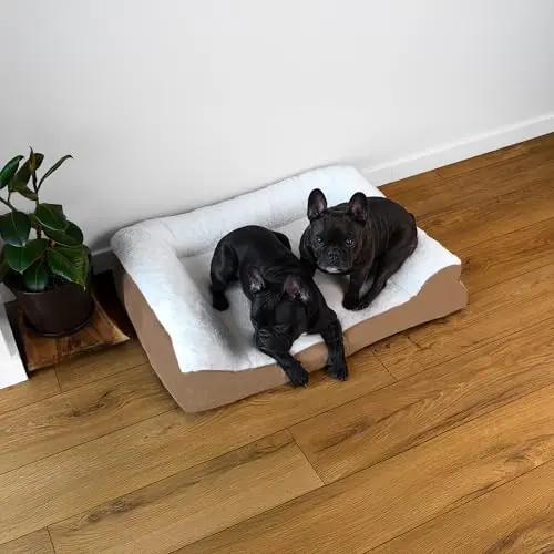 Pawerz Orthopädisches Hundebett für kleine bis mittelgroße Hunde 91x69 cm, Beige, waschbar & rutschfest