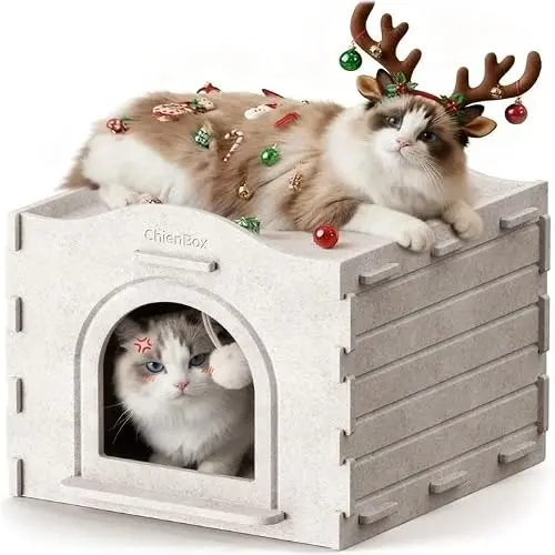 ChienBox Katzenhaus Indoor aus Filz: Abnehmbare Katzenhöhle mit Spielball, warm & kratzfest, einfach zu reinigen, 38×38×33 cm