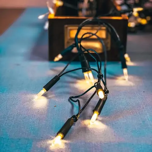 Hellum Lichterkette innen, 50 klare warme Lichter, 7,35 m, grün
