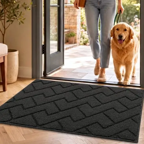 Biscpro Fußmatte Dunkelgrau 50 × 80 cm, Waschbar und Rutschfest
