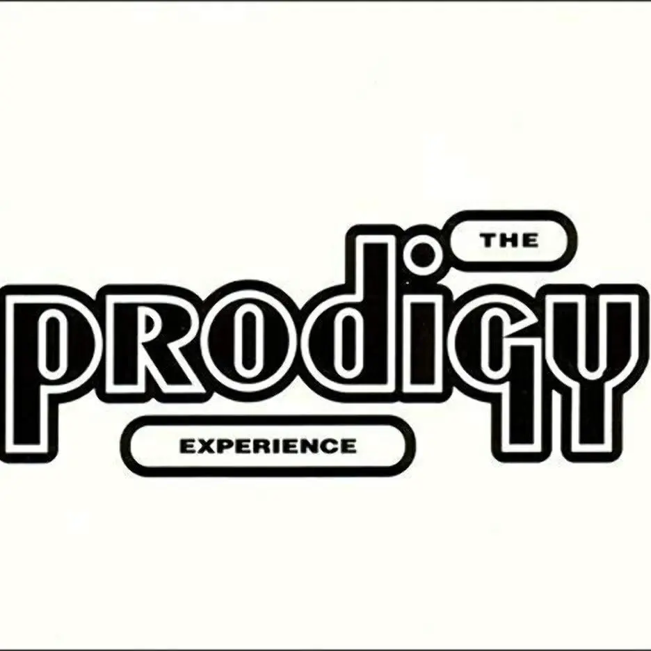 Experience [Vinyl LP]