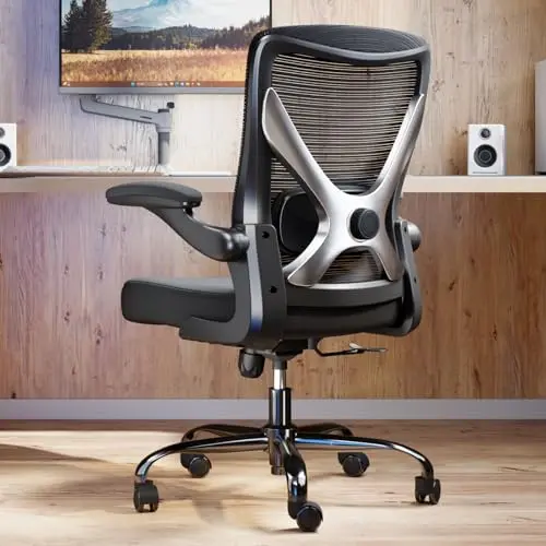 TRALT Ergonomischer Bürostuhl - Bequemer Gaming-Stuhl mit Lendenwirbelstütze (Schwarz Silber)