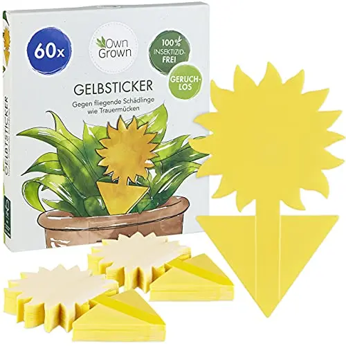 OwnGrown Gelbe Fliegenfalle - 60 Stück Mückenbekämpfung für Zimmerpflanzen - 13,5 x 7,5 cm