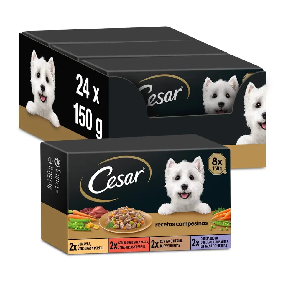 Cesar Multipack feuchte Lebensmittelwannen in Salsa – 3 x 8 x 150g