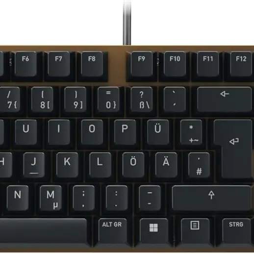 CHERRY KC 200 MX Mechanische Office-Tastatur, Deutsches Layout QWERTZ, Kabelgebunden, Schwarz/Bronze