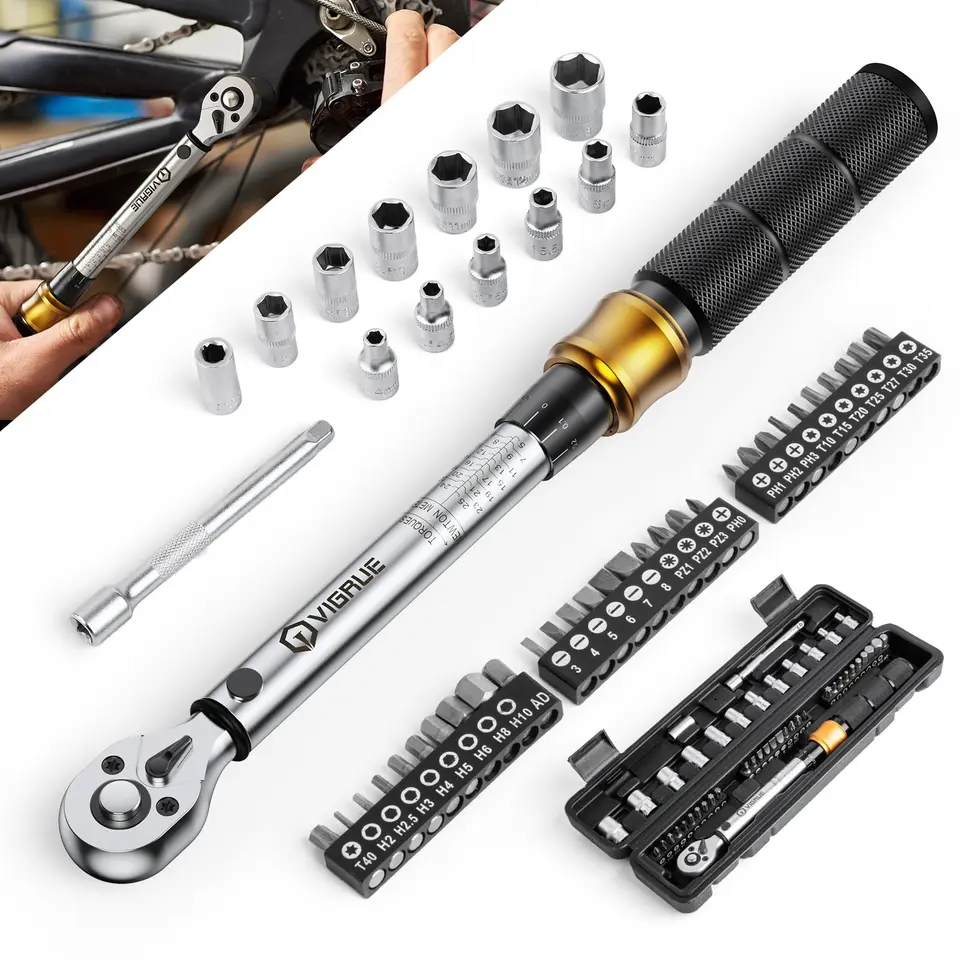 Drehmomentschlüssel Fahrrad 5-25 Nm, VIGRUE 1/4", mit Ratsche, Verlängerung, Universalgelenk, Bits für Motorrad & Auto