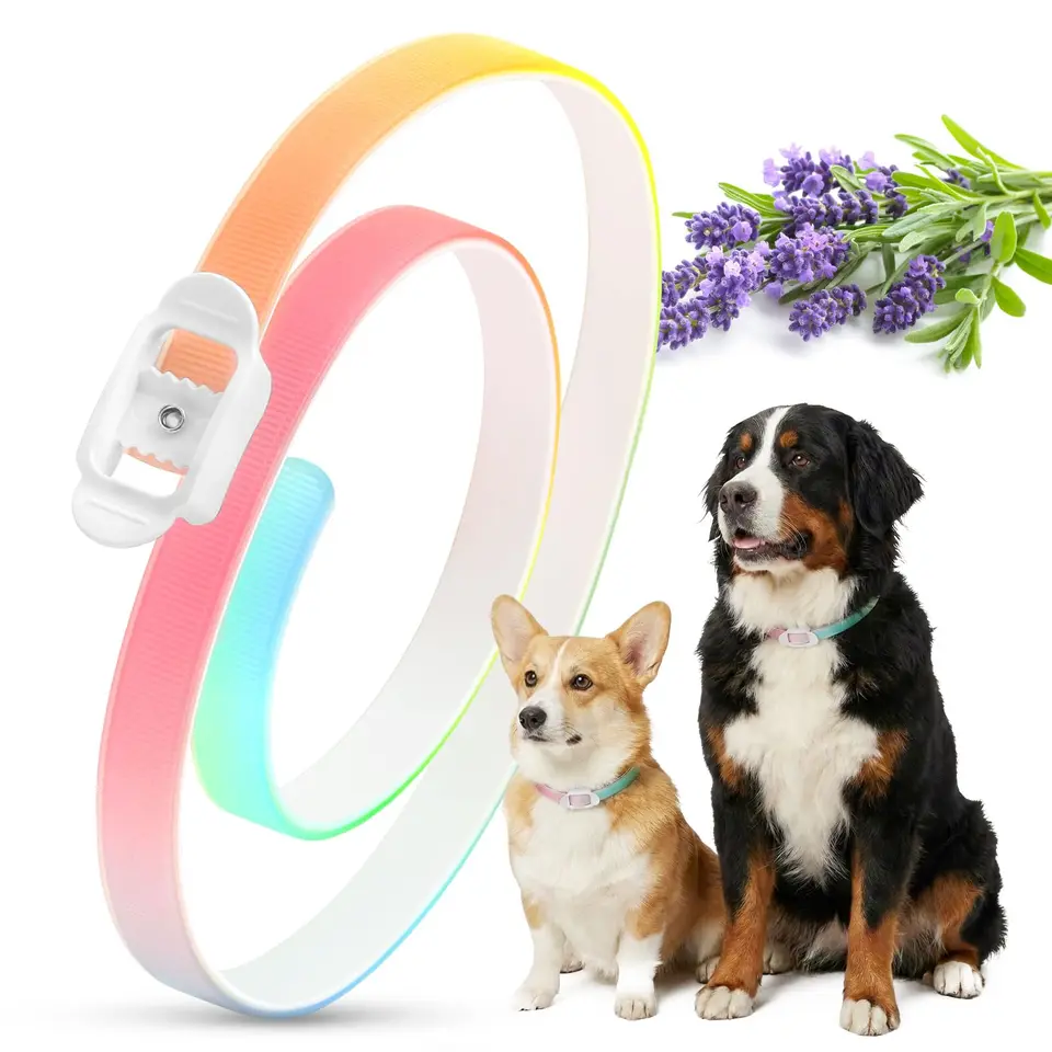 Zeckenschutz Hund 8 Monate, Regenfest, Verstellbar, Bandlänge 69 cm, Bunt