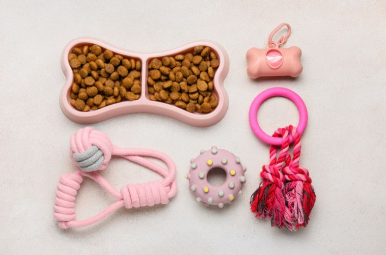 pet supplies are among the best things to sell on eBay for profit including leash and toys